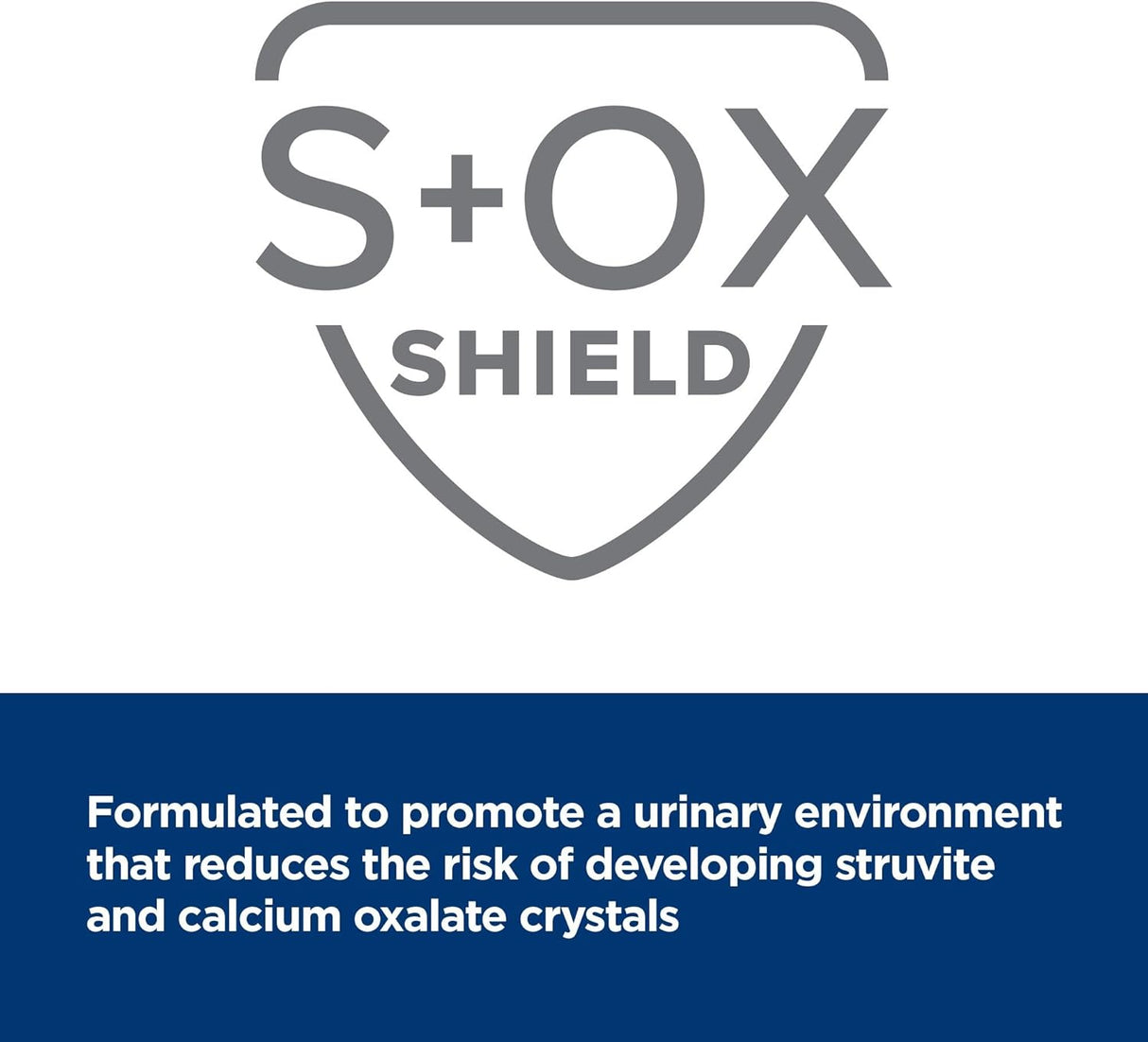 Alimento para gatos con sabor a Atún, dieta veterinaria