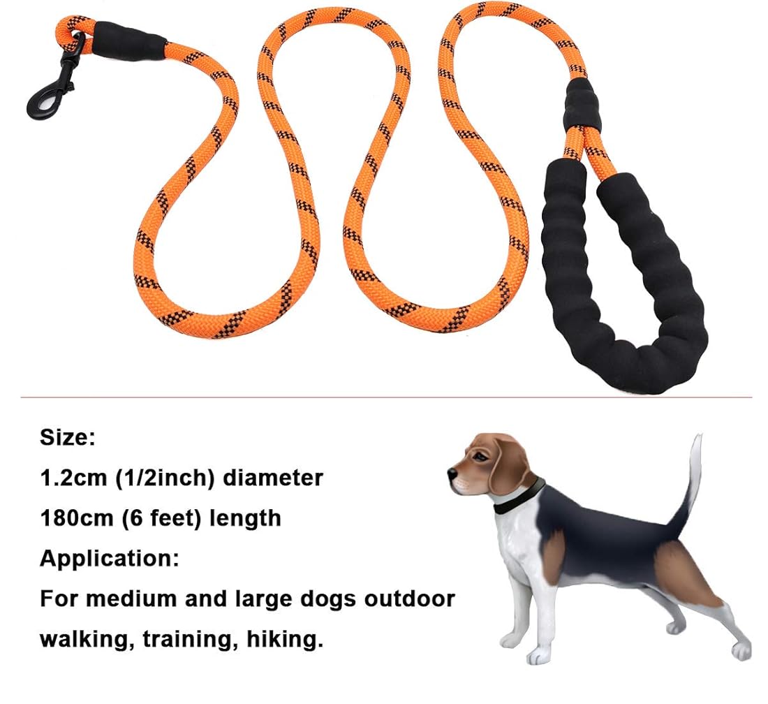 Correa de nailon para entrenamiento de mascotas