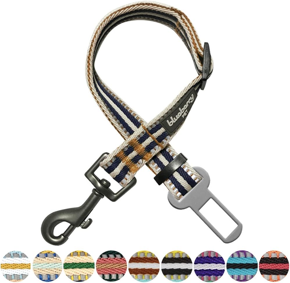 Correa Reflectante Ajustable para Mascotas, Seguridad Duradera