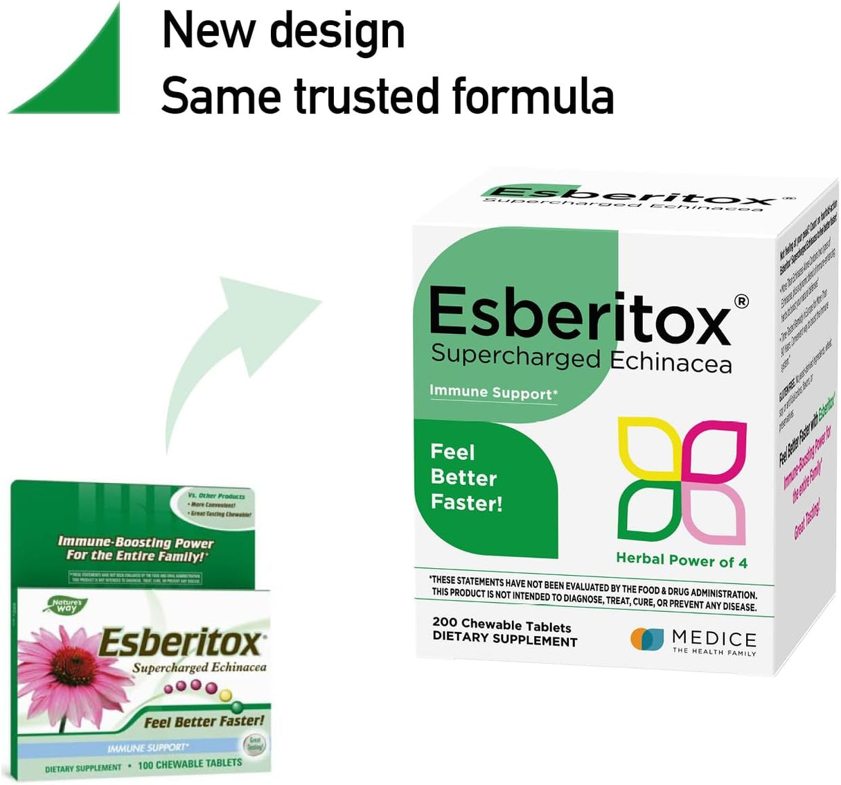 Echinacea Potente – Soporte Inmune – Suplementos Herbales