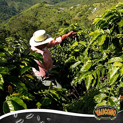Café Molido Descafeinado Yaucono 8.8 oz Canasta (Pack de 1)