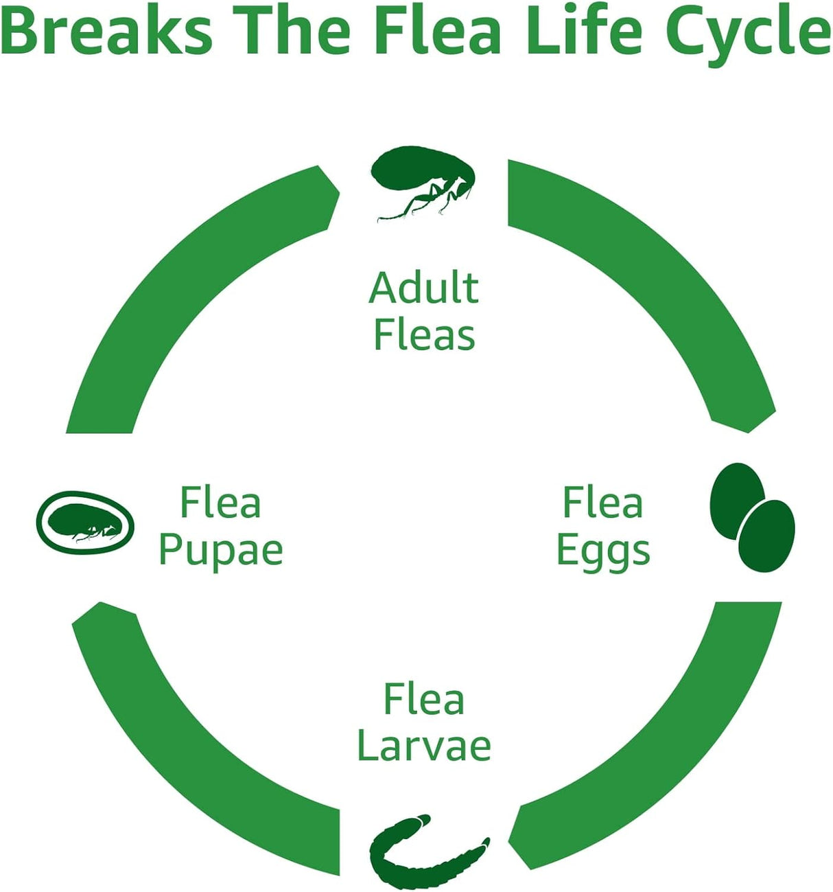 Tratamiento Antipulgas Solimo tratamiento tópico de pulgas