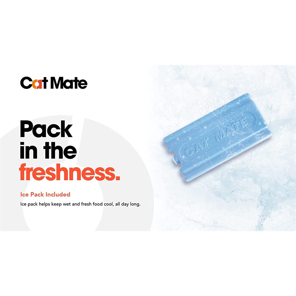 Comedero automático para mascotas de 2 Dos cuencos grandes