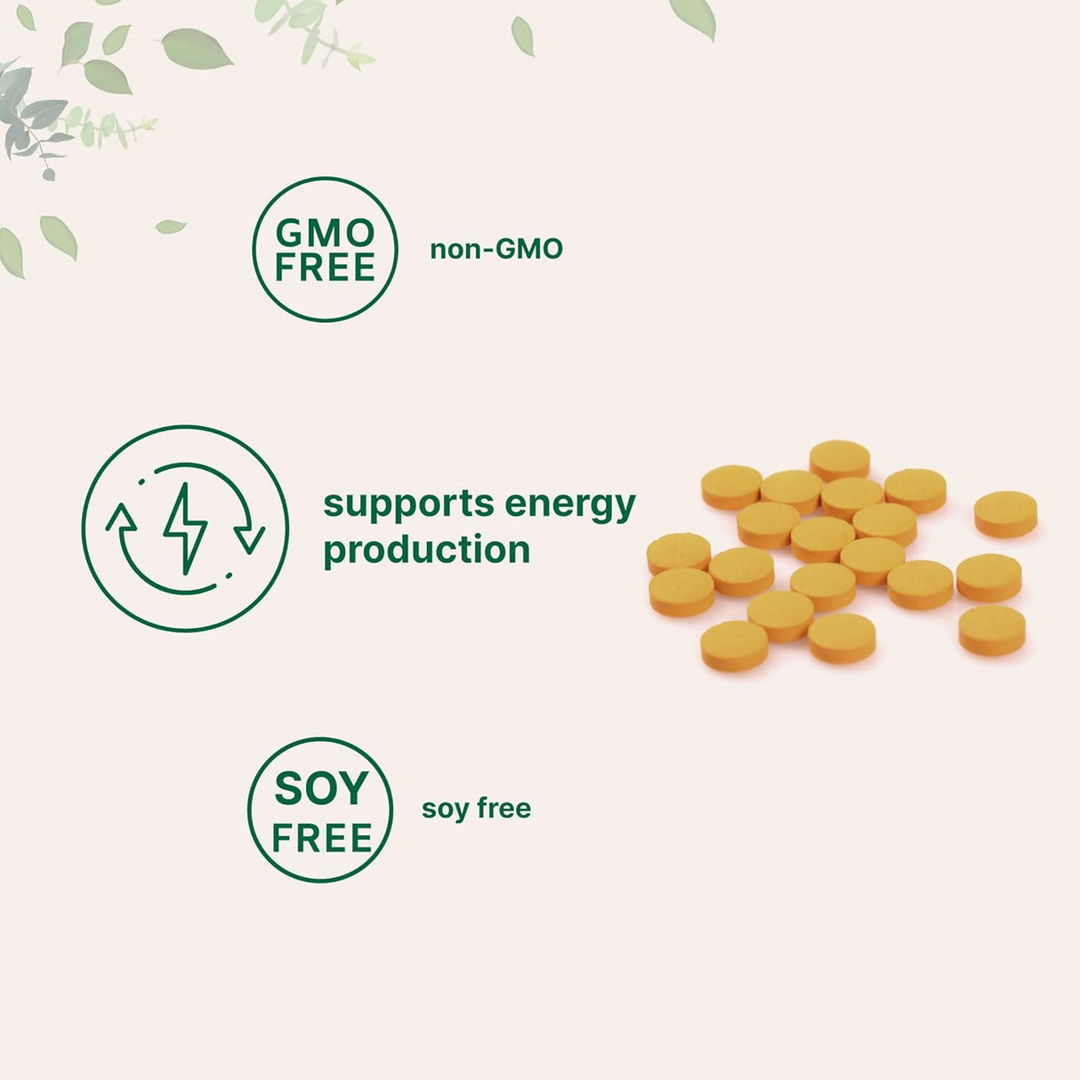 Suplementos Alimenticios Vitamina B2 de riboflavina