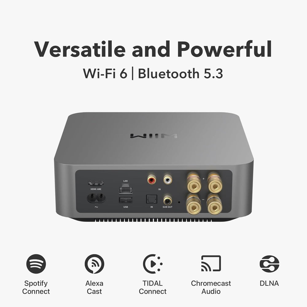 Amplificador Multiroom WiiM Amp Pro | Chromecast, Alexa, HDMI