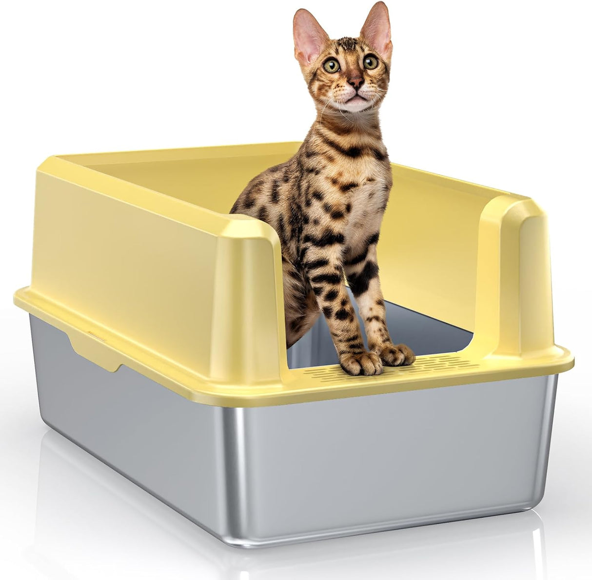 Caja de arena de acero inoxidable con lado alto Panghuhu88