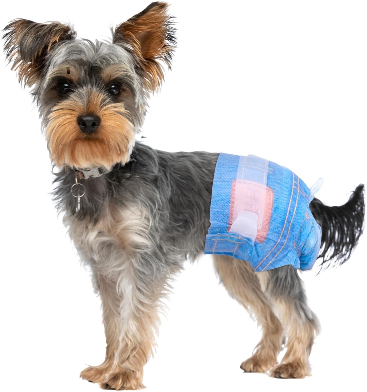 Pet Soft - Pañales desechables para perras, cachorras, gatas