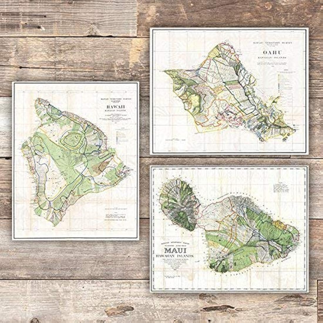 laminas artisticas de pared en hawaii