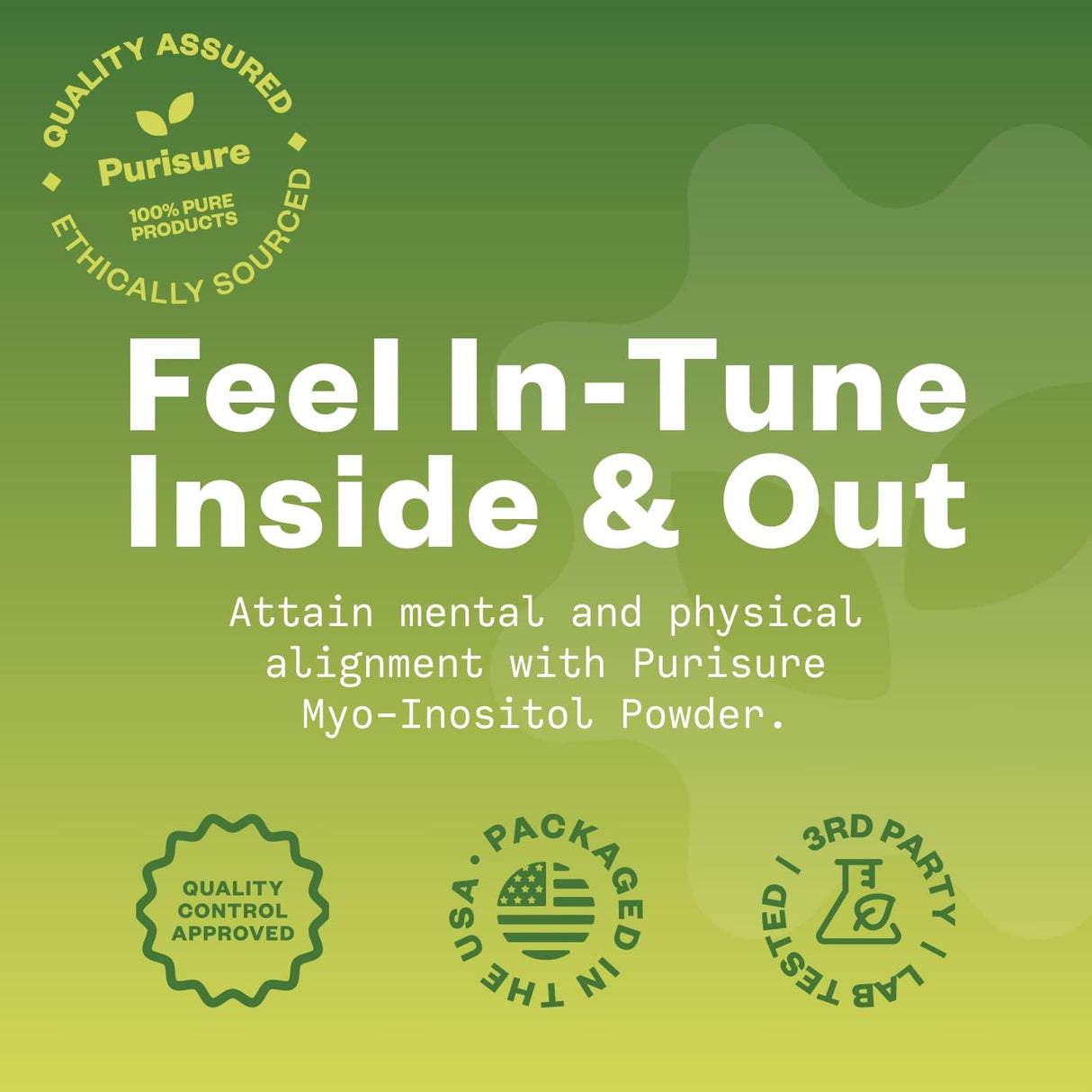 Suplemento Myo Inositol Polvo 500 porciones nootrópico