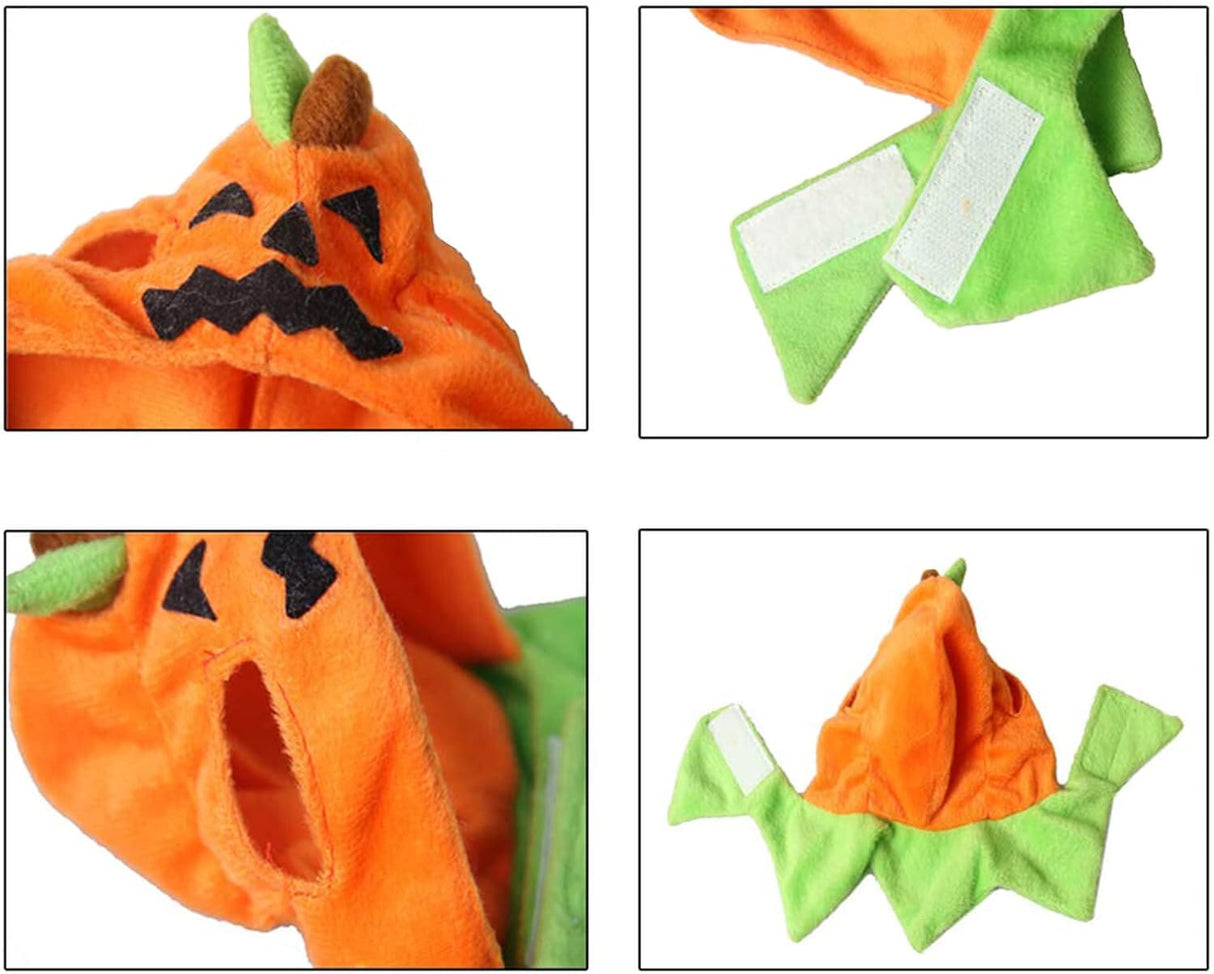 Gato Orgrimmar Sombrero Halloween Collar Cat Cosplay