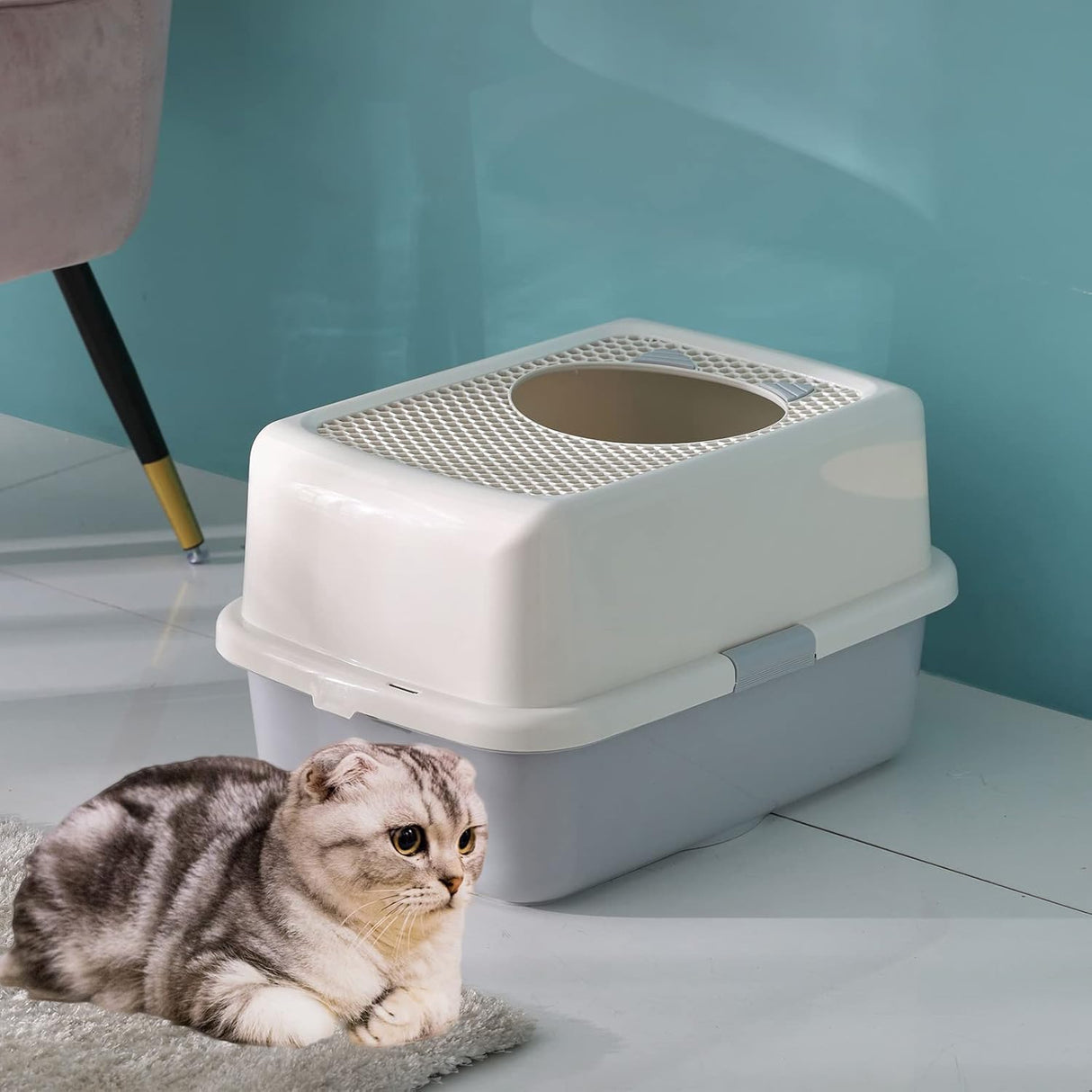 Caja de arena para gatos con tapa Smart Paws Top Entry