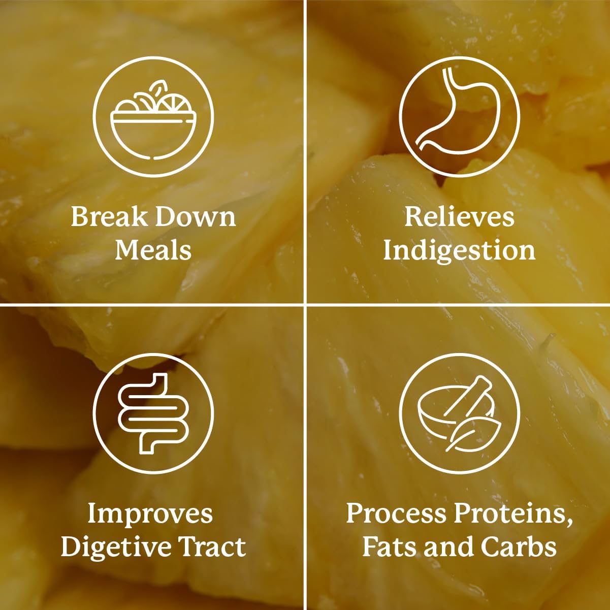 Cápsulas de Enzimas Alimenticias - 120 unidades