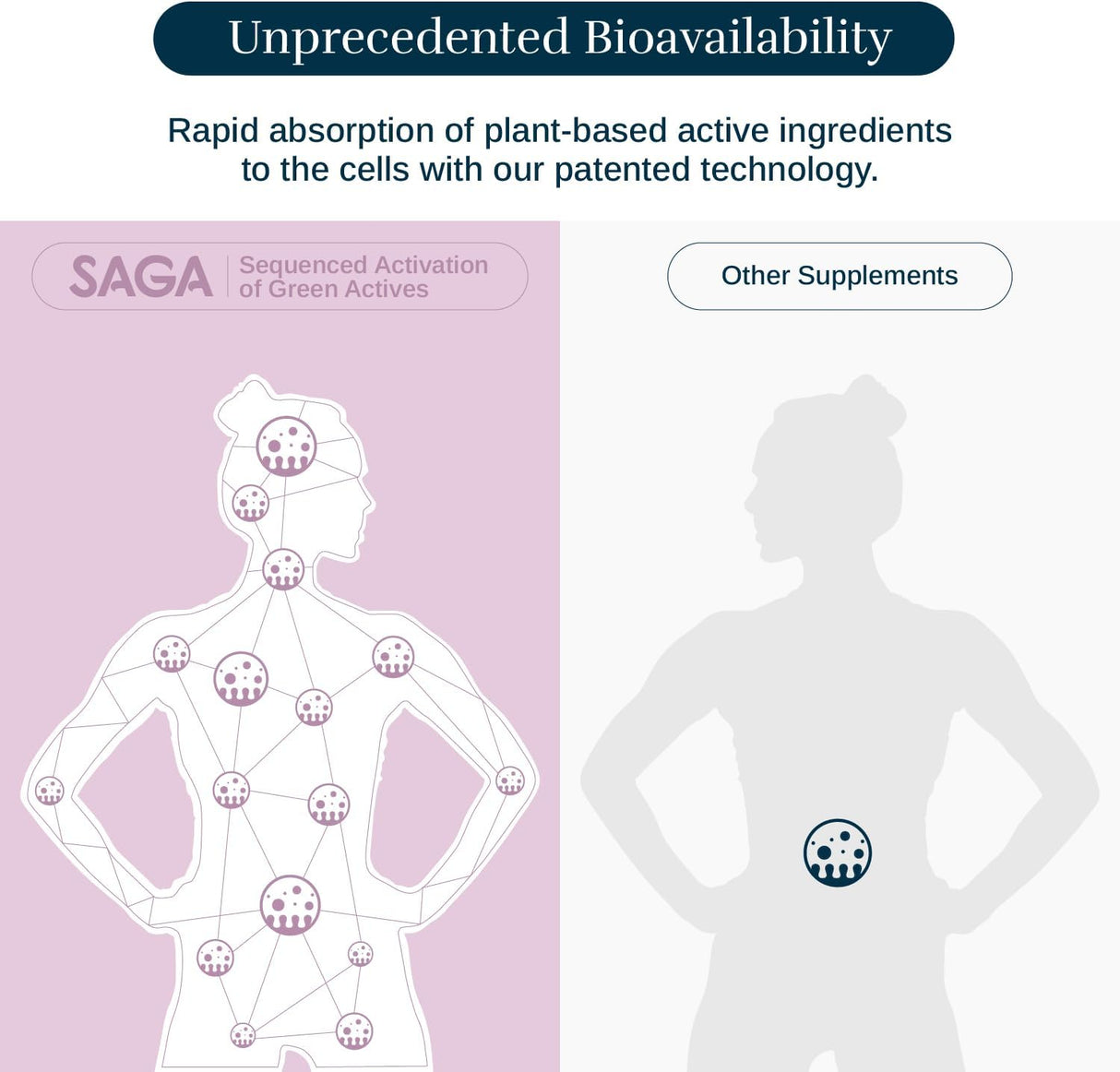 SAGA Focus Shots: Nootrópicos y Adaptógenos - 6 Paquetes