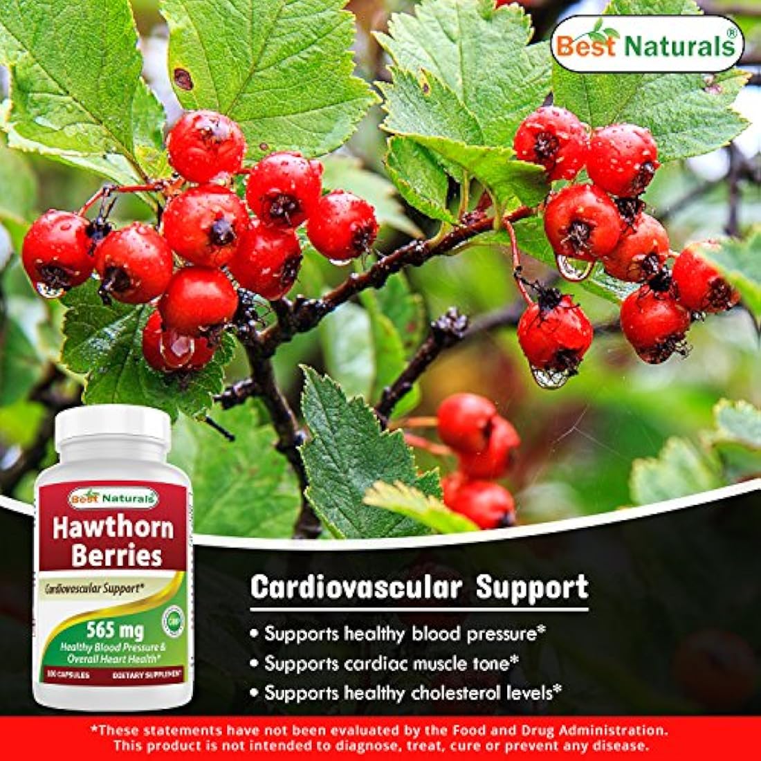 Suplemento dietetico 180 Cápsulas