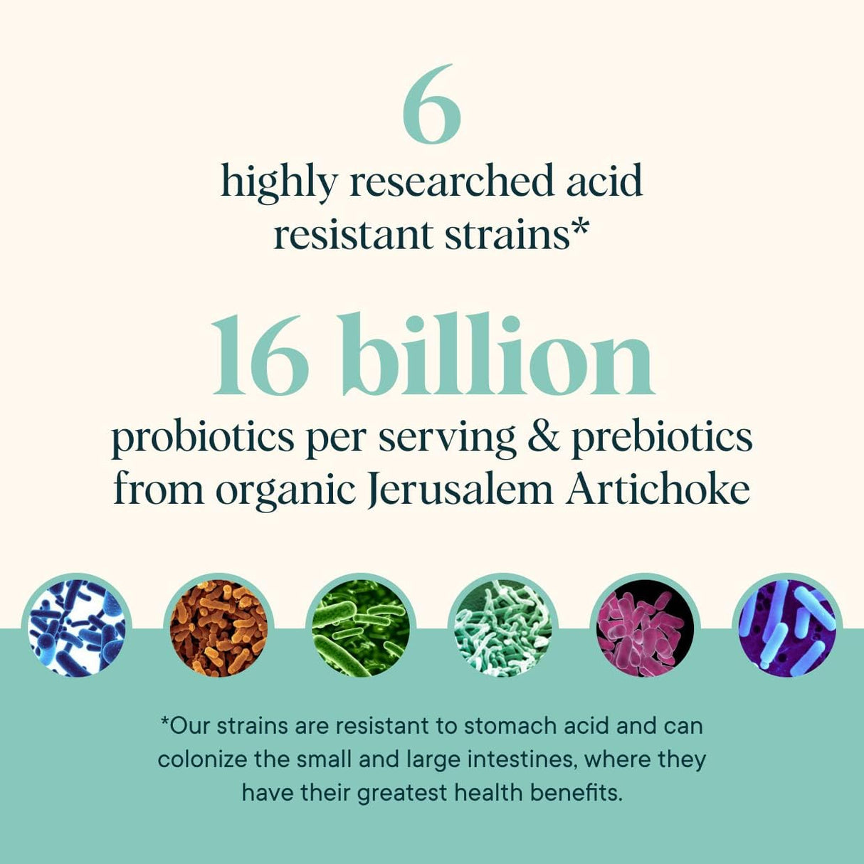 Suplementos Alimenticios Probióticos Sin lácteos