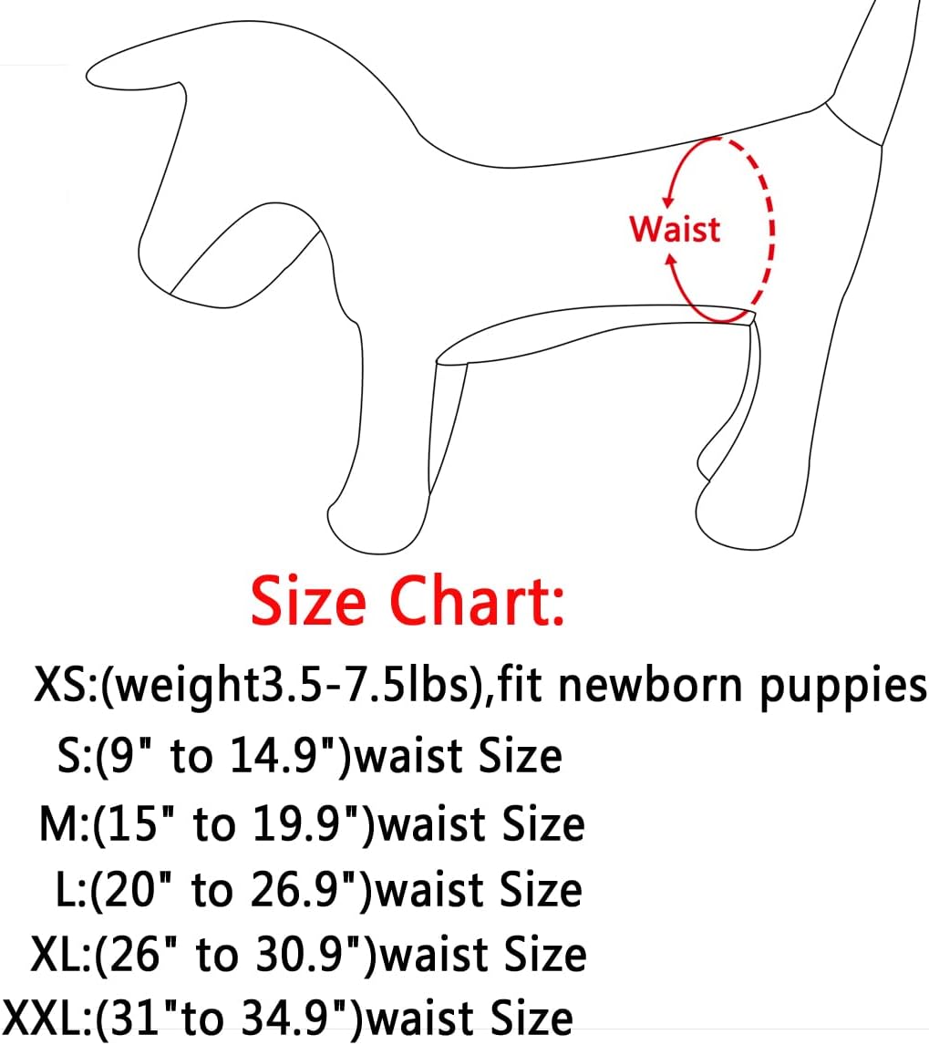 Vecomfy Pañales lavables para perras pequeñas, paquete de 4