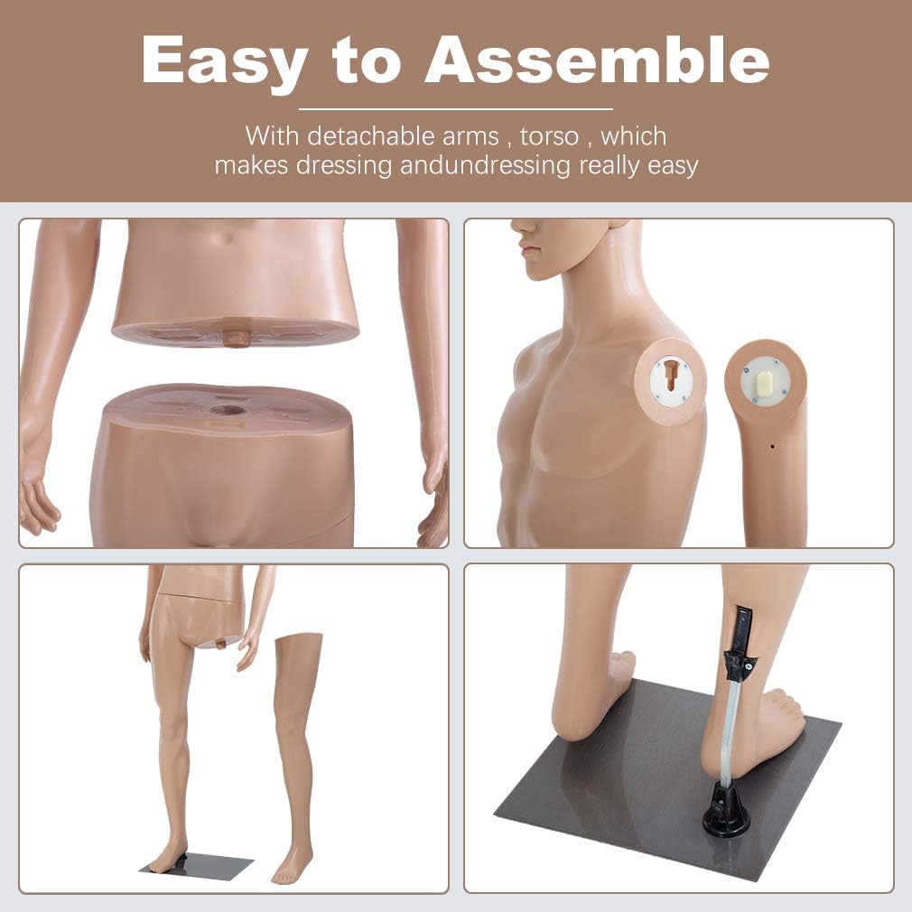 Maniquí Torso Masculino Ajustable con Base Metálica 73