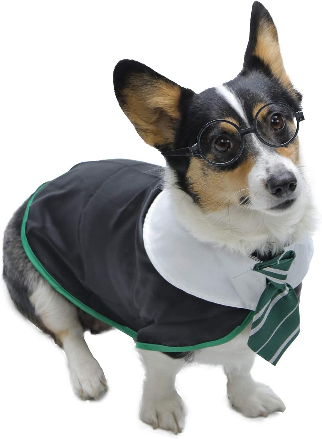 Disfraces de divertidas para perro talla S