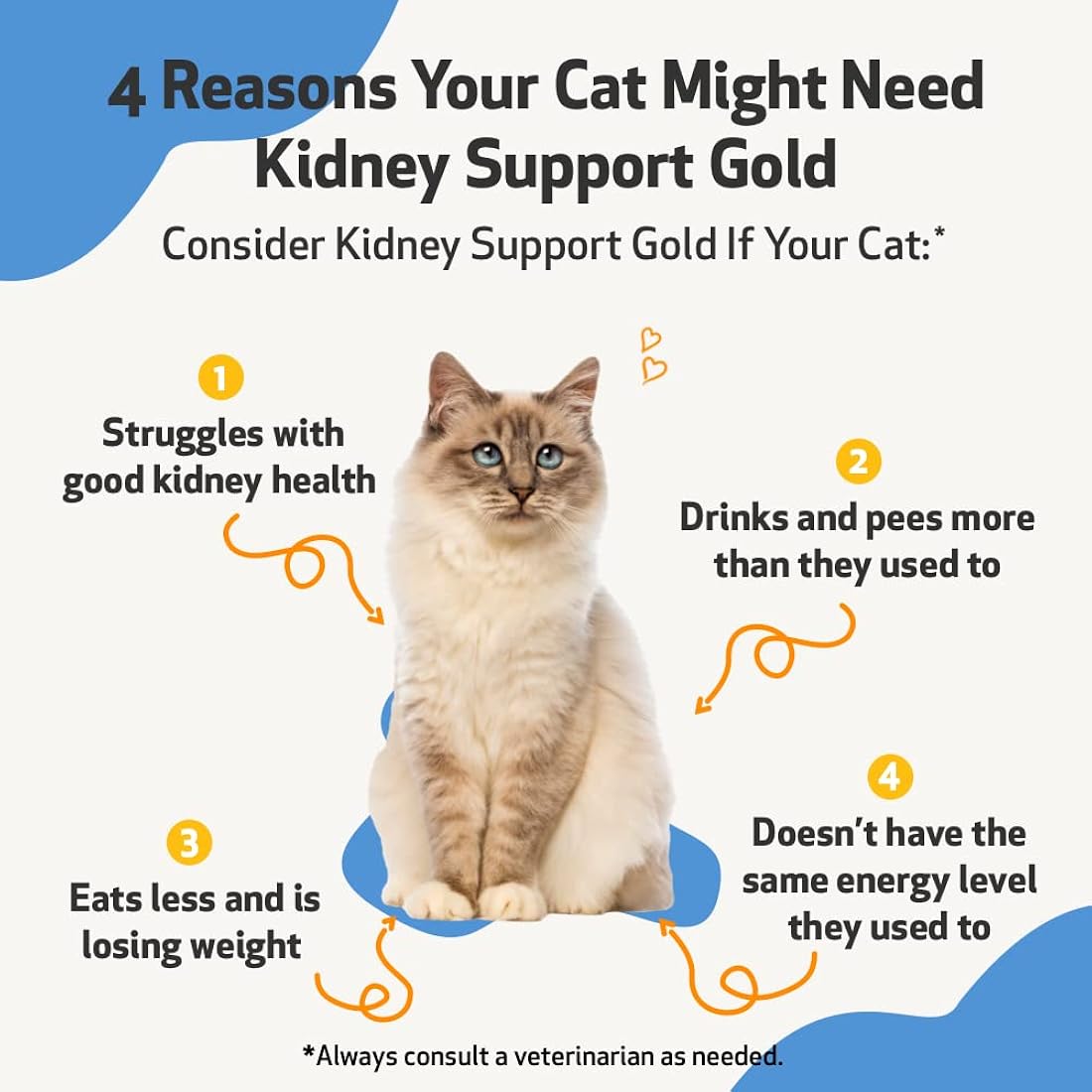 Suplementos Apoyo natural para la salud de riñón