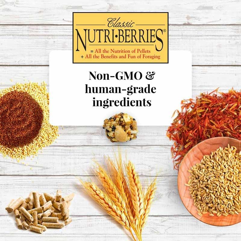 Alimento para loros Nutri-Berries