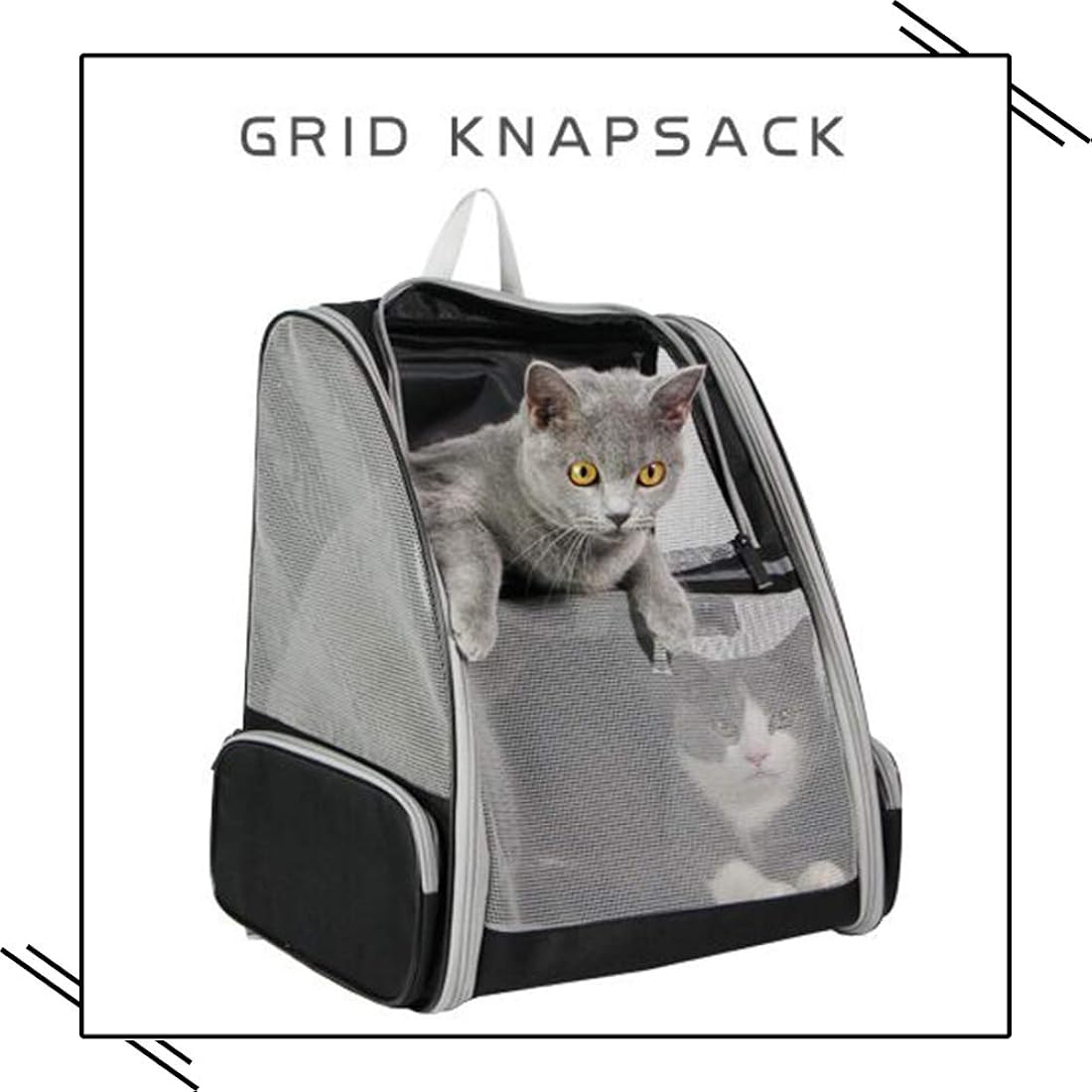 Mochilas de gatos para transporte