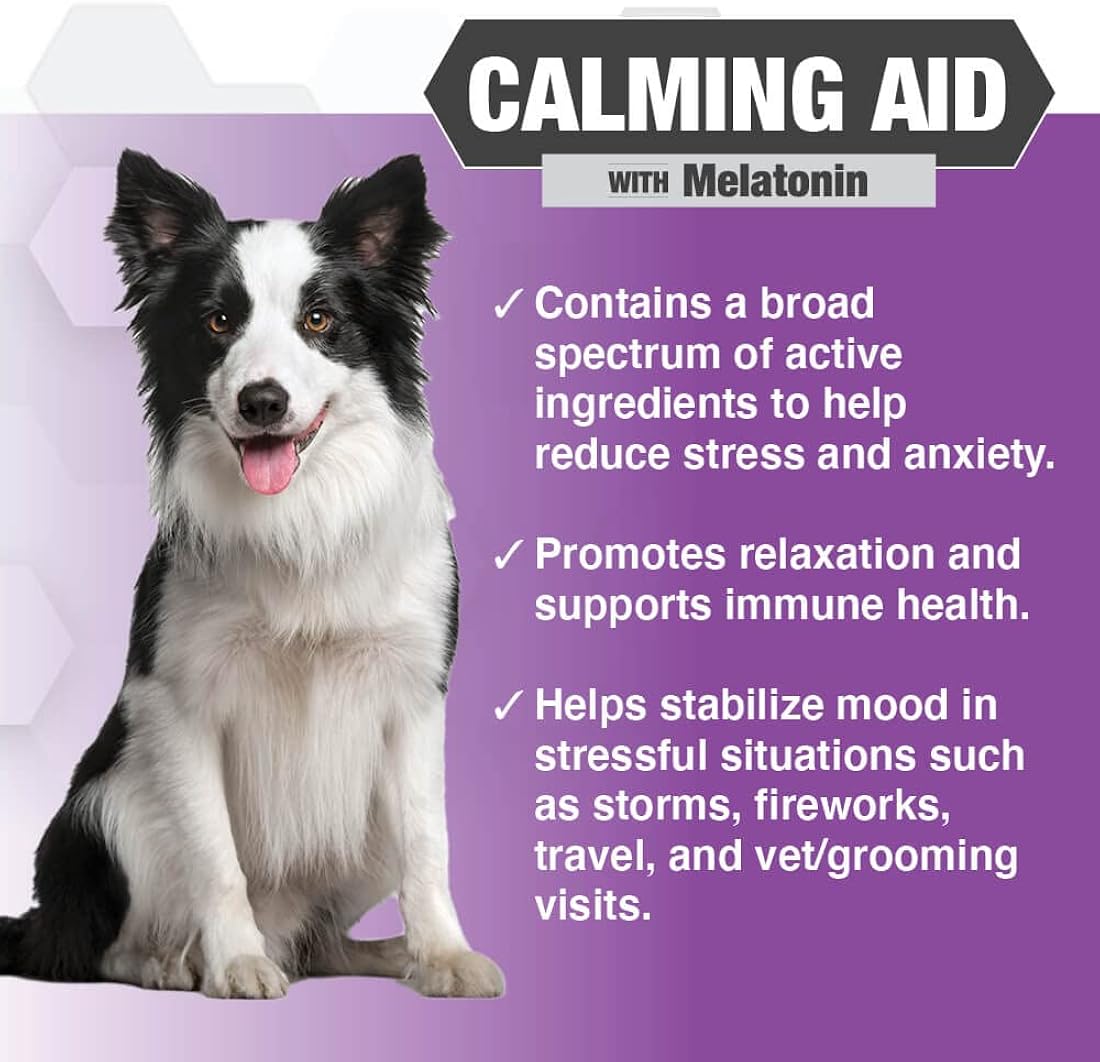 Suplementos Masticables Ayuda a la ansiedad de la mascota