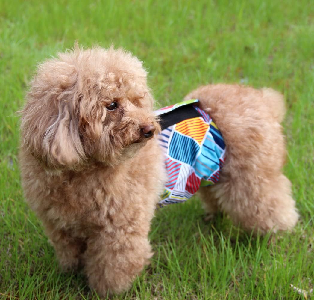 vecomfy - Pañales lavables y reutilizables 5 unidades