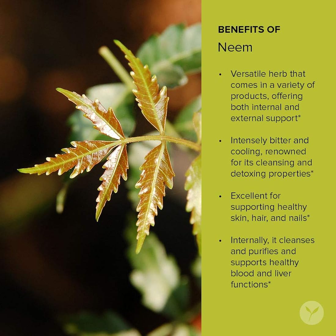 Suplemento Banyan botánicos Neem Powder Orgánica USDA zacate