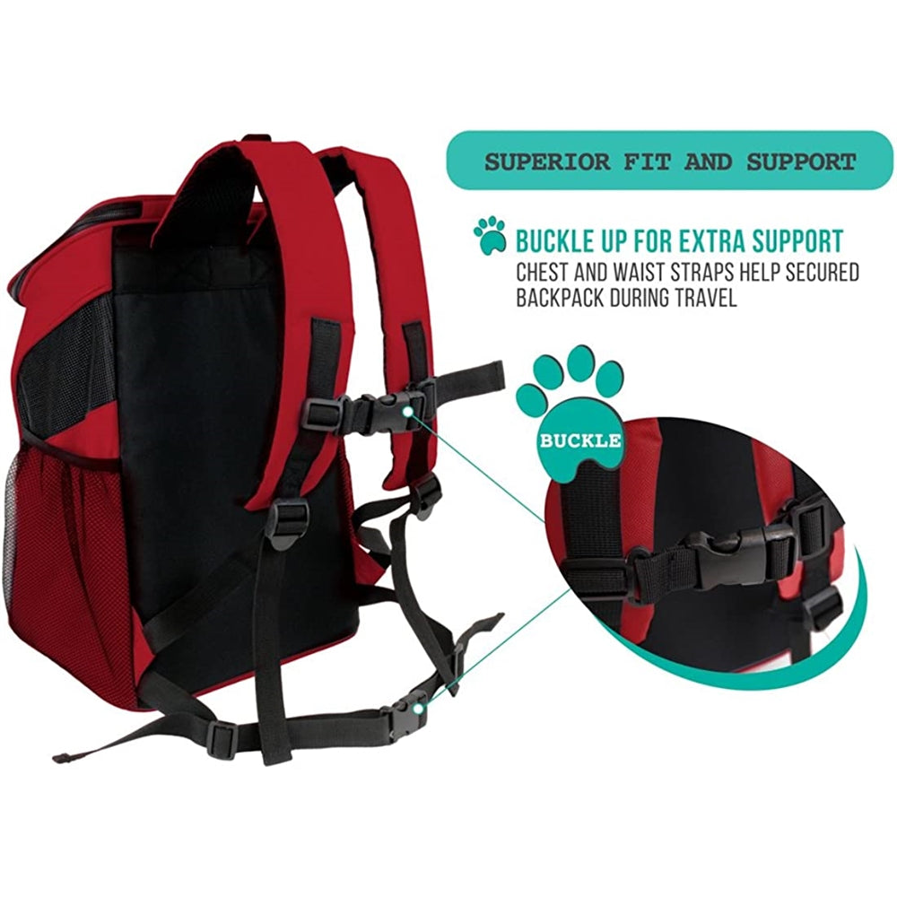 Mochila de transporte para gatos pequeños diseño ventilado,