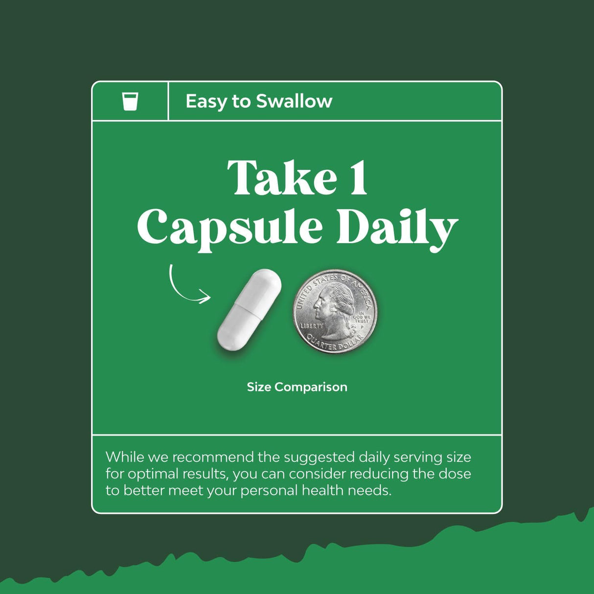 Suplemento Pure Saw Palmetto Extract crecimiento del cabello