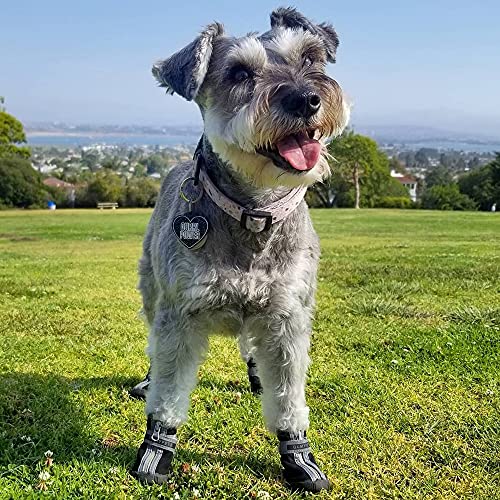 QUMY - Botas para perros pequeños y cachorros, impermeables, para la nieve del invierno, con franja reflectante, suaves y cómodas, con suela de goma antideslizante, color rojo, 4 unidades