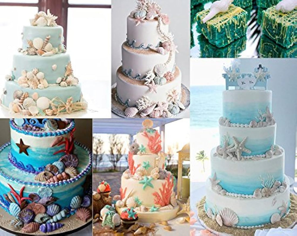 Anyana Seashell - Molde de silicona para fondant