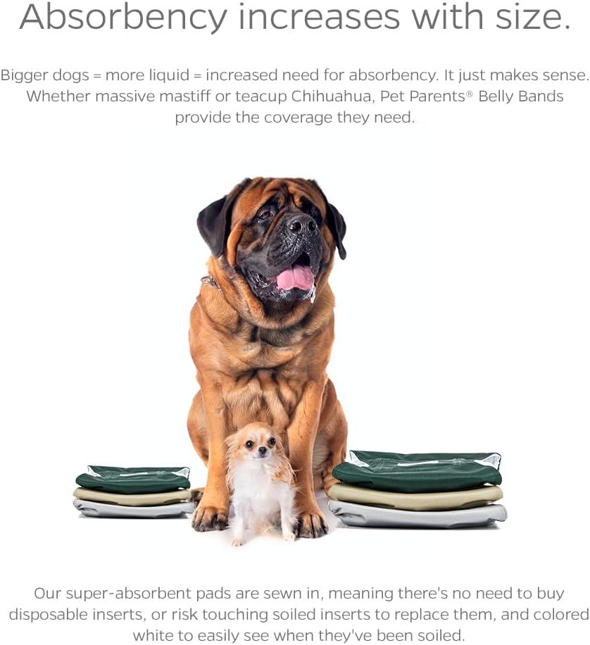 Pet Parents Bandas vientre lavables alta calidad extensores