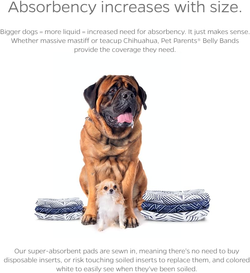 Pet Parents Bandas para vientre lavables alta calidad Kahuna