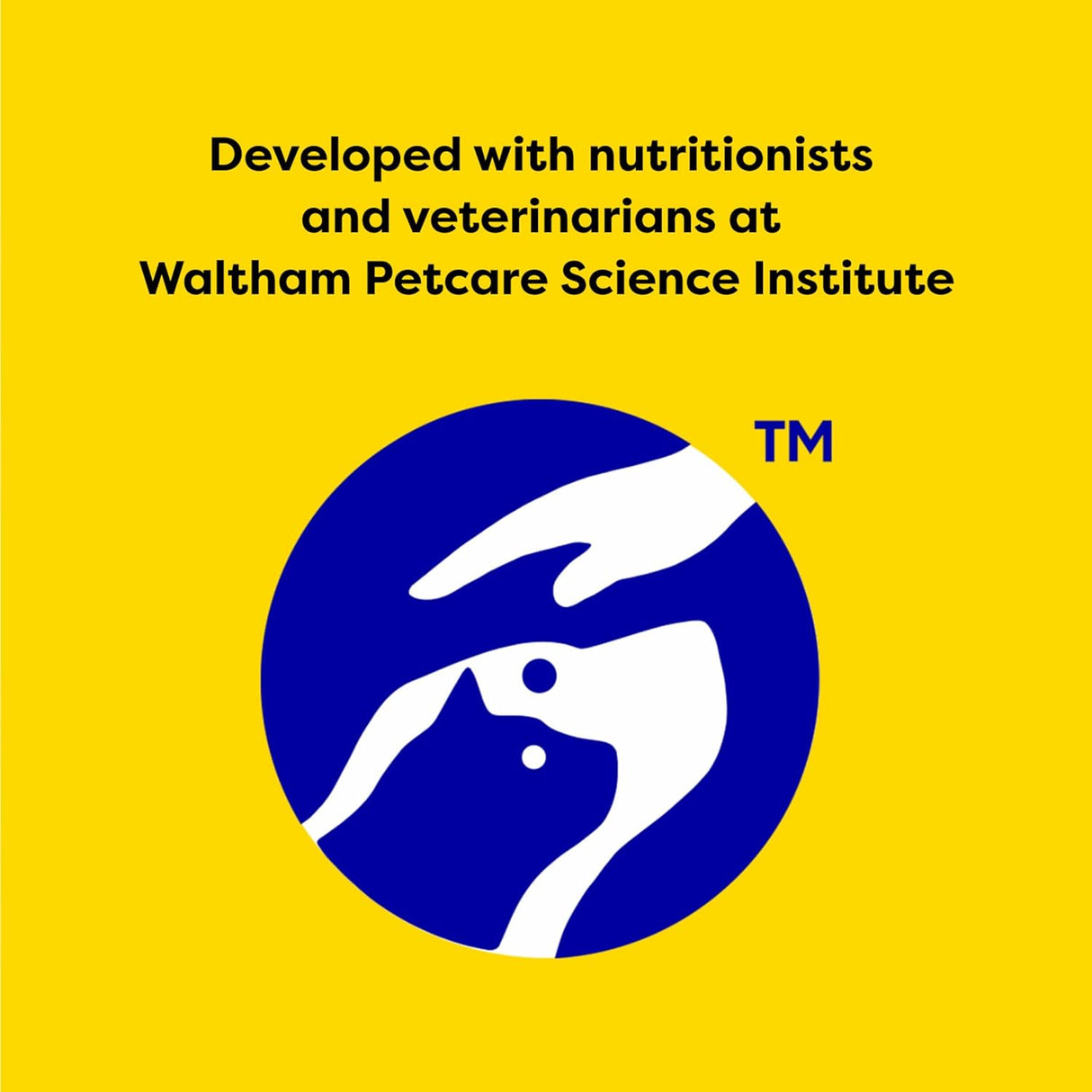 Golosinas crujientes y suaves para gatos sabor al aire libre