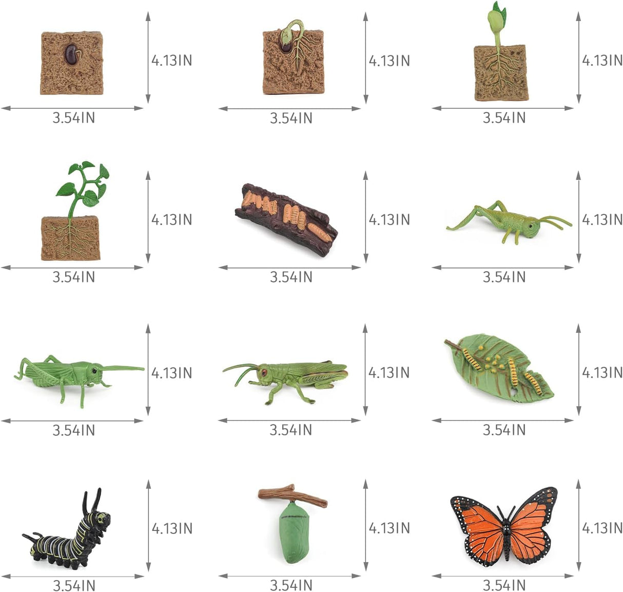 Juego de 12 Figuras de Ciclo de Vida - Juguetes Educativos