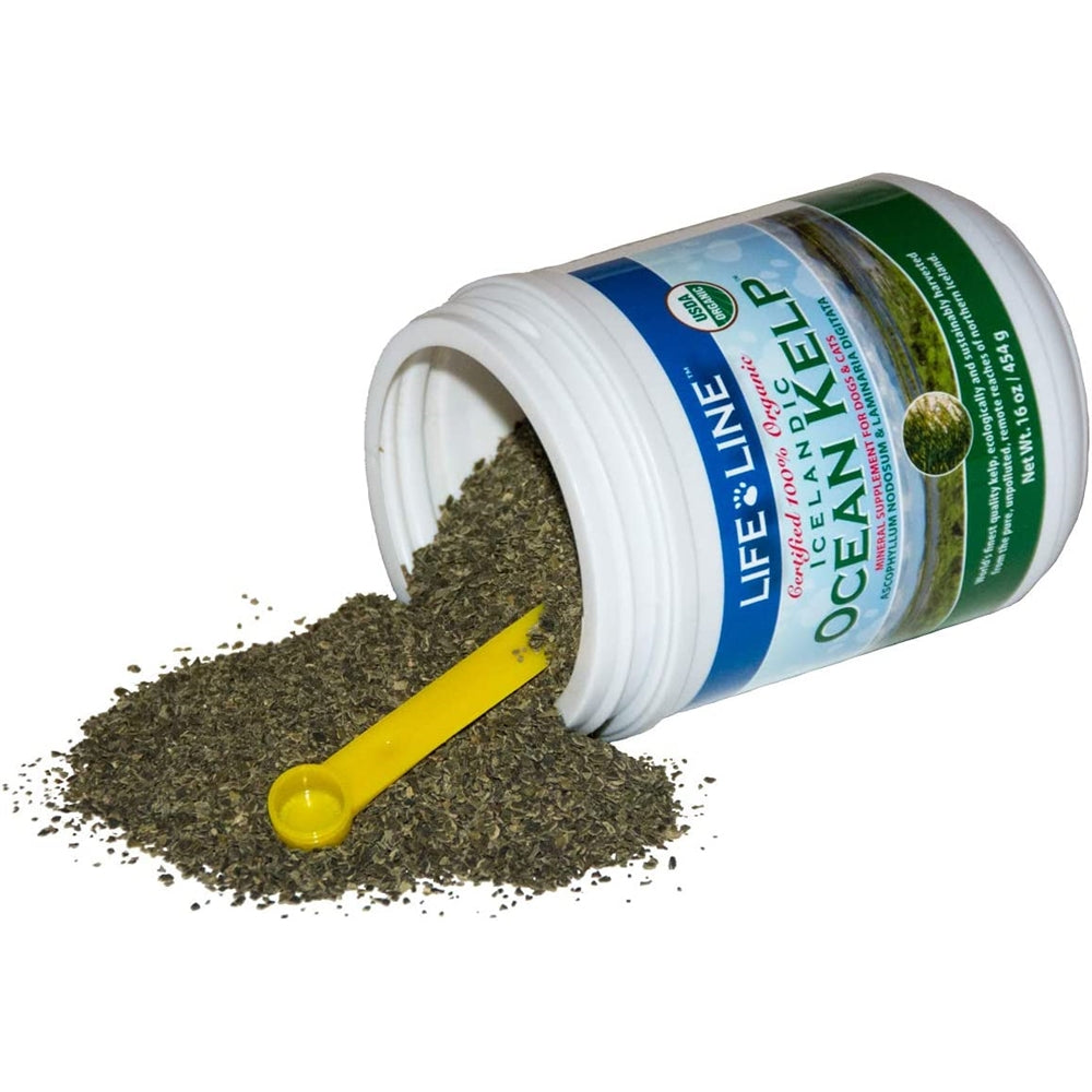 Vitaminas Suplemento orgánico en polvo de algas oceánicas