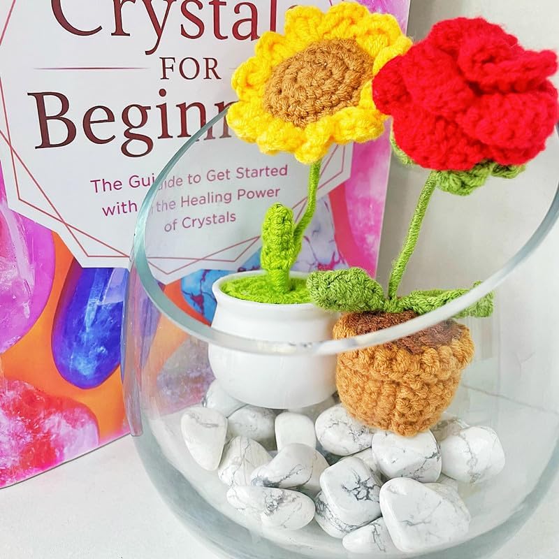 Cristales de Turquesa Blanca Irregulares Pulidos para Principiantes