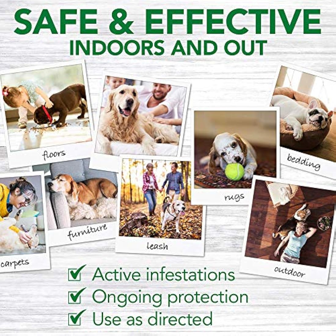 Pulverizador de pulgas y garrapatas para perros