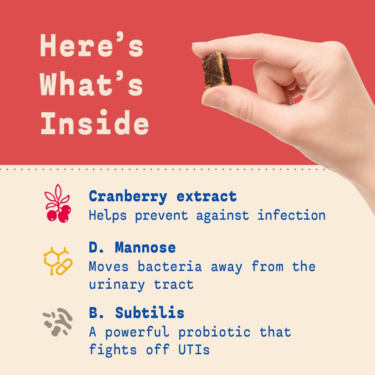 Vitaminas para perros en el mostrador Soporte de vejiga