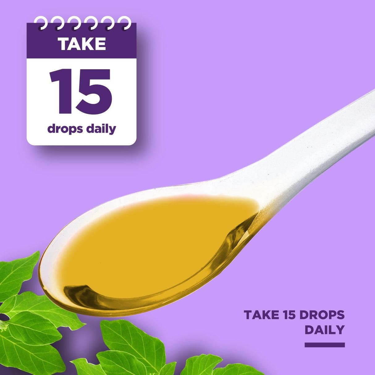 Gotas de Ashwagandha Orgánico - Extracto Potente - 60 Serv.