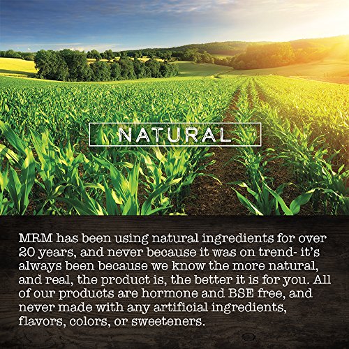 Suplemento Nutricional de 330 Gramos