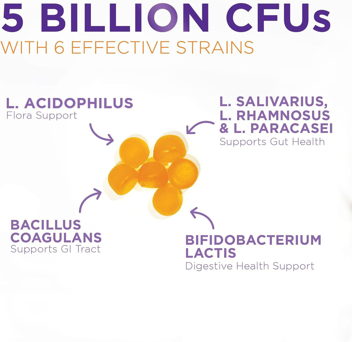 Suplemento probiótico extra fuerte de apoyo para la salud