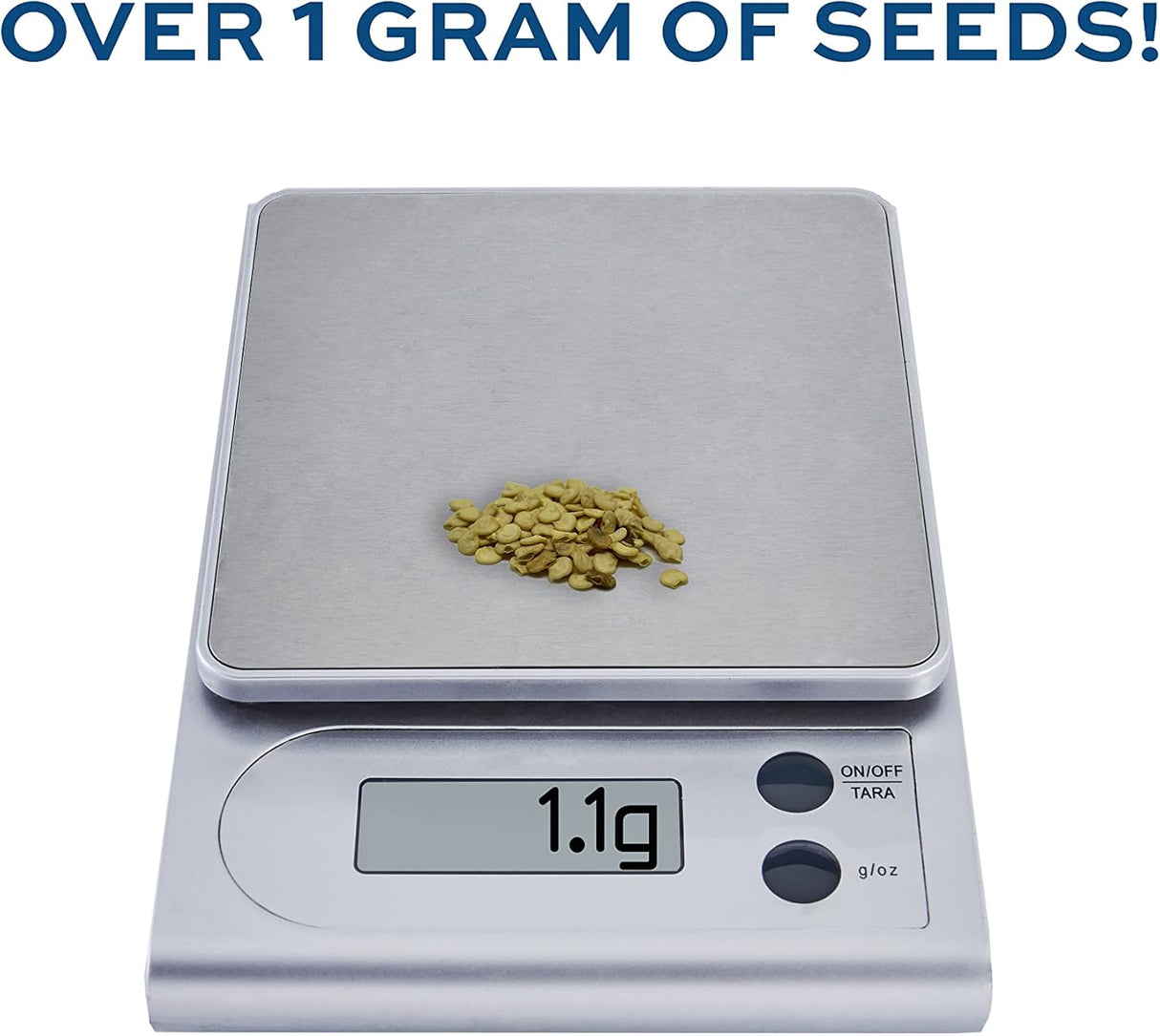 Semillas de Pimiento California Wonder - RDR Seeds - Heirloom Non-GMO