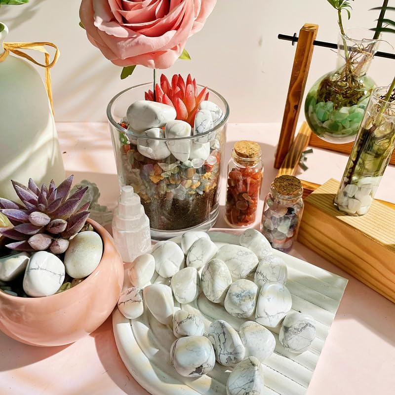 Cristales de Turquesa Blanca Irregulares Pulidos para Principiantes