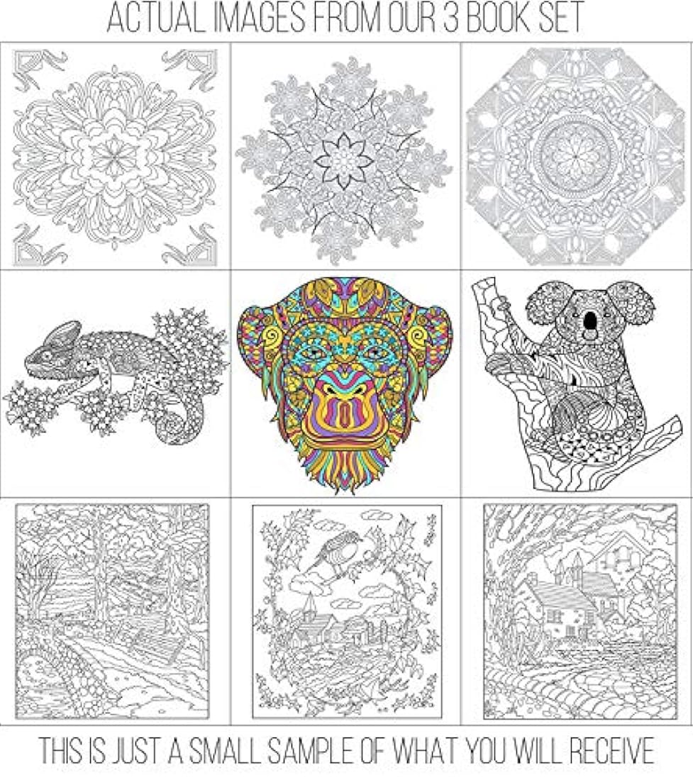 Set de libro de adultos para colorear