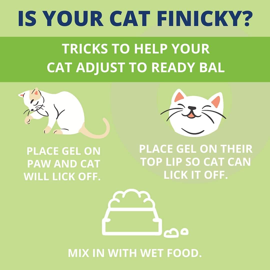 Gel probiótico y prebiótico oral de apoyo digestivo