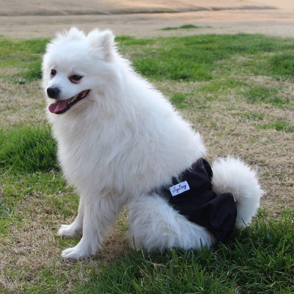 JoyDaog Paquete de 3 pañales para cachorros, color negro, XS