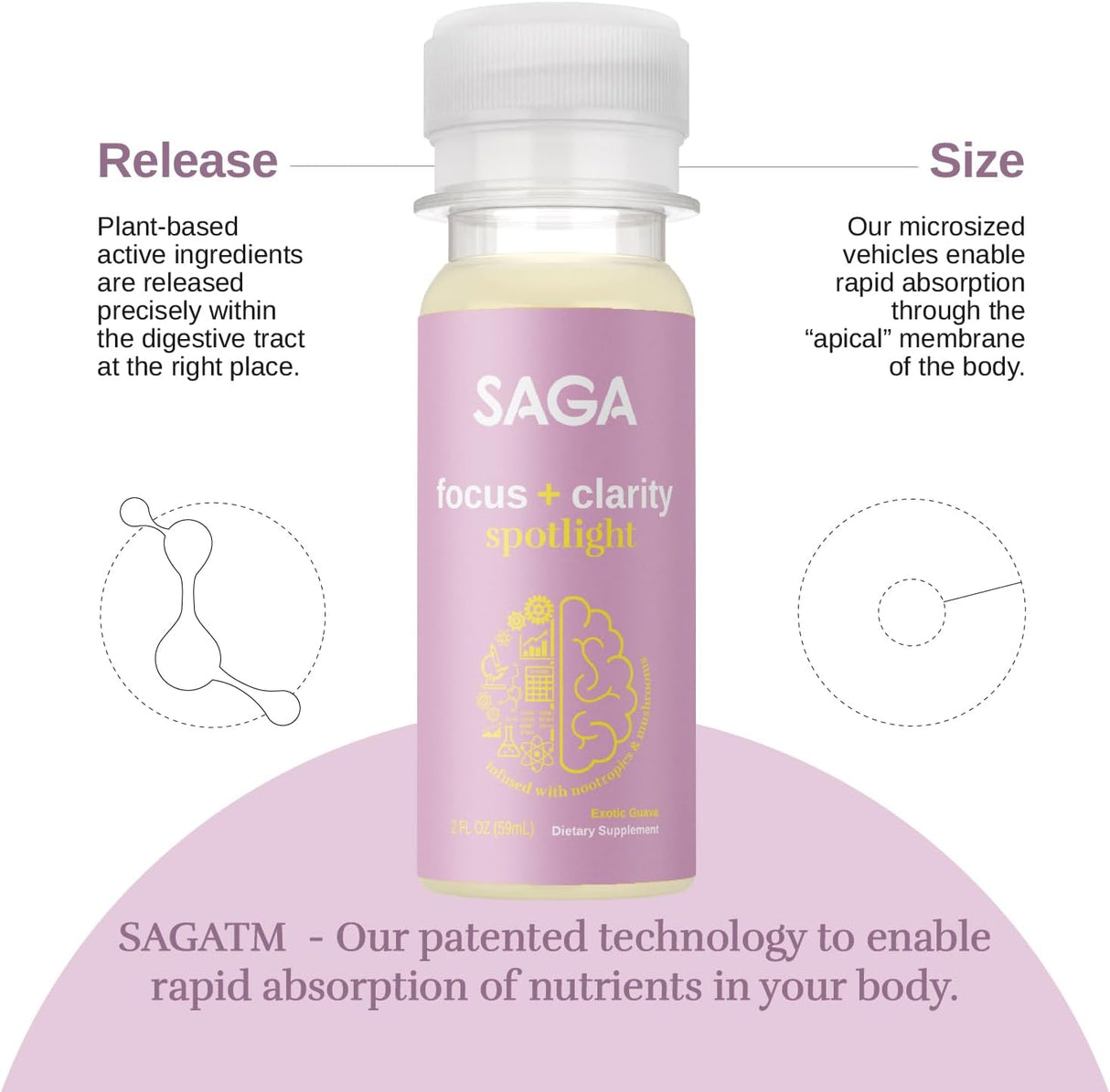 SAGA Focus Shots: Nootrópicos y Adaptógenos - 6 Paquetes