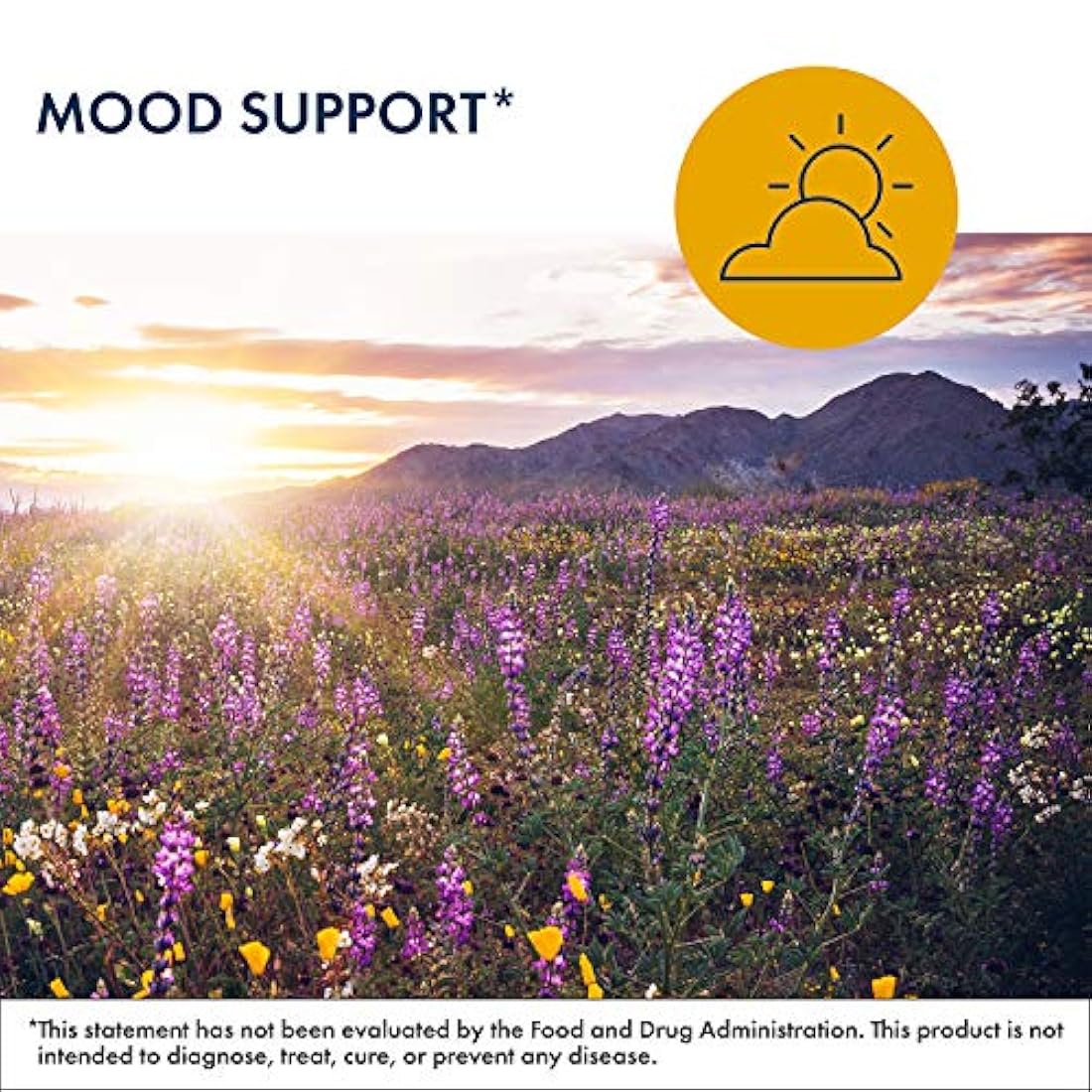 Suplemento de Mantenimiento metabólico